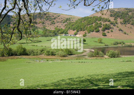 Welsh hill farm in open countryside near Rhayader Powys Wales UK Stock Photo