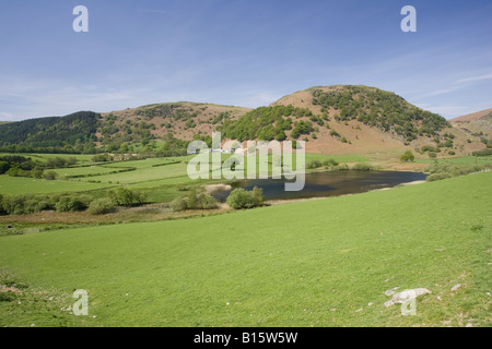 Welsh hill farm in open countryside near Rhayader Powys Wales UK Stock Photo