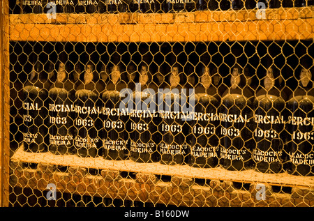 dh Adegas de Sao Francisco FUNCHAL MADEIRA Madeira wine lodge with racked bottles vintage blandy cellar old wine Stock Photo