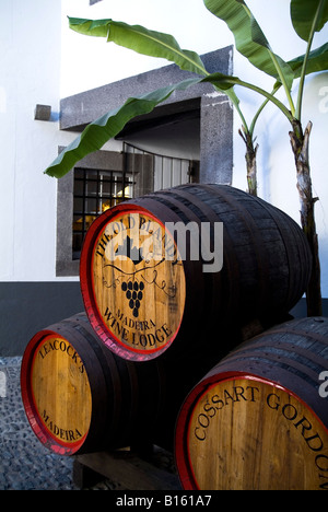 dh Adegas de Sao Francisco FUNCHAL MADEIRA Madeira wine barrels in monastery courtyard cask barrel blandy lodge museum Stock Photo