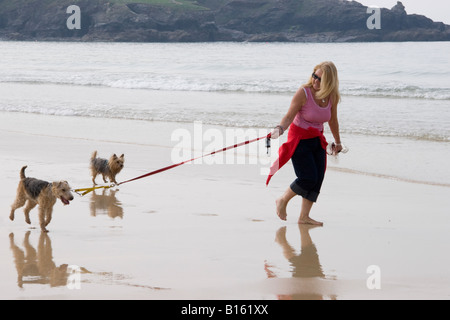 Mature woman walking dogs on a beach Stock Photo