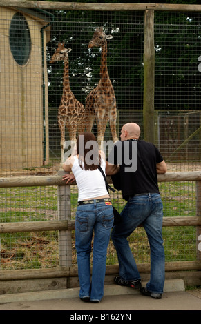 Giraffe enclosure and visitors at Marwell Zoo near Winchester in Hampshire England UK Stock Photo