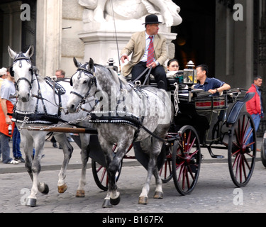 Austria Vienna Wien Fiacre with two grey or gray horses , a driver in a bowler hat and tourists in front of the Hofburg Stock Photo