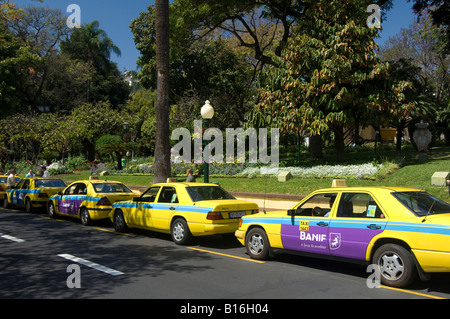 Yellow cab cabs taxis parked at taxi rank outside Jardim Municiple Funchal Madeira Portugal EU Europe Stock Photo