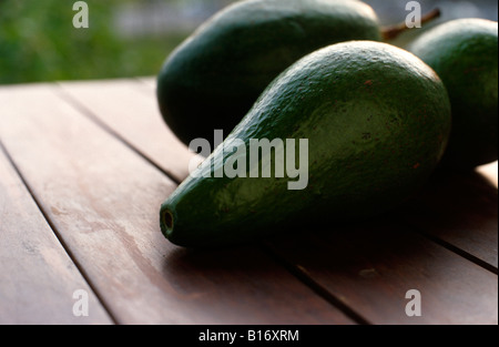 Large ripe green avocados on wood tabletop in evening light. Stock Photo