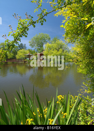 Jade Lake and Garden of Chateau Montelena winery,Calistoga,California ...