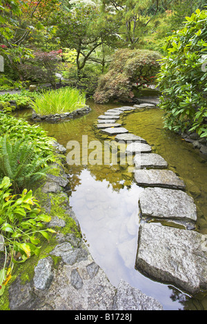 A path from the wet stones laid through a pond in Japanese garden Stock Photo