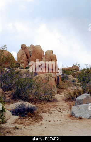 Sculptured Monzogranite Rocks, Joshua Tree National Park, California, USA Stock Photo