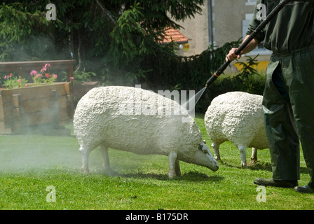 Stock photo of a man cleaning the ornamental concrete sheep in the village of Mezieres sur Issoire Stock Photo