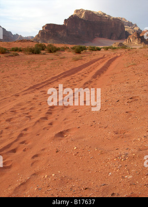 Car tracks in the Wadi Rum desert, Jordan Stock Photo