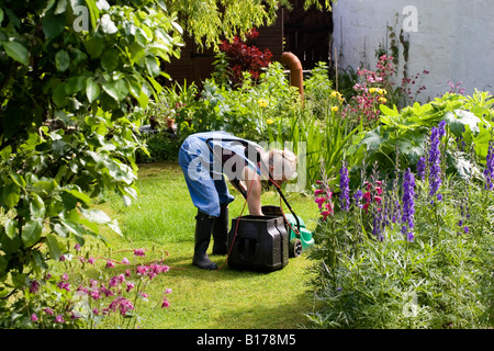 Woman Mowing Lawn and gardening in Summer Stock Photo