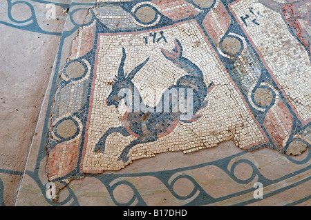 Detail of the antique zodiac mosaic floor at Hamat Tiberias synagogue National Park, Tiberias Galilee Israel Stock Photo