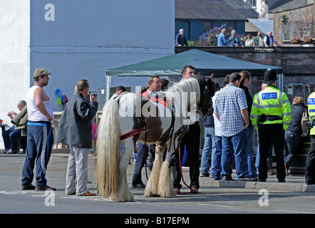 Gypsy traveller horse dealers at Appleby Horse Fair. Appleby-in-Westmorland, Cumbria, England, United Kingdom. Stock Photo