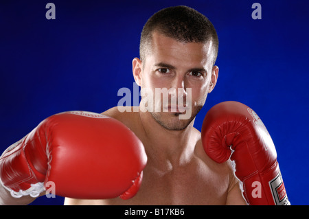 Boxer Stock Photo