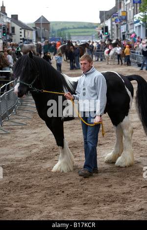 man leading a horse over sand covered main street during the horse fair at the ballyclare may fair Stock Photo