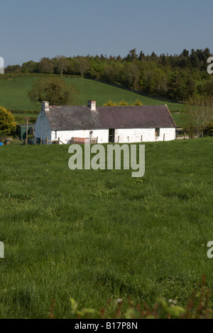 traditional irish whitewashed stone cottage with slate roof in farmland county down northern ireland Stock Photo