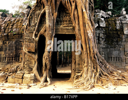 Angkor Wat Siem Reap Cambodia Stock Photo