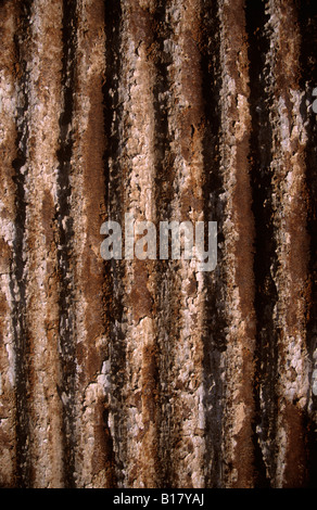 Rusting corrugated iron sheet, part of wall of a building in the abandoned nitrate mining town of Santa Laura, near Iquique, Chile Stock Photo