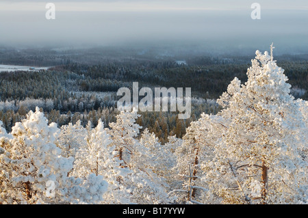 View from top of Vaattunkivaara hill over wintery forest in Arctic Circle hiking area, Rovaniemi, Finnish Lappland Stock Photo