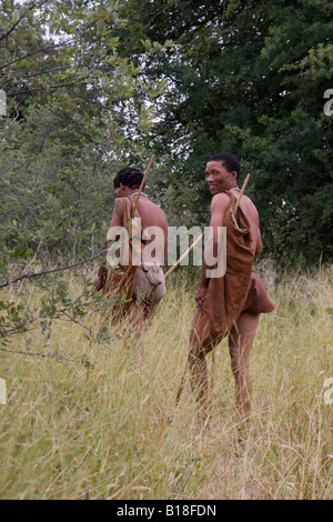 The Bushmen are the oldest inhabitants of southern Africa walking in the botswana bush Stock Photo