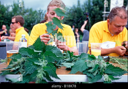 World Stinging Nettle eating competition Marshwood Vale Dorset England Stock Photo