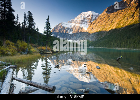 Mount Edith Cavell reflected in Cavell Lake in Jasper National Park, Alberta, Canada. Stock Photo