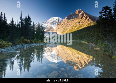 Mount Edith Cavell reflected in Cavell Lake in Jasper National Park, Alberta, Canada. Stock Photo