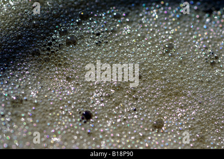 coca cola bubbles detail gassy coke fizzy drinks pop liquid soft drink macro close up health diet Stock Photo