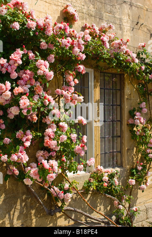 Pink rose Albertine encircles window of old stone cottage in West Country UK Stock Photo