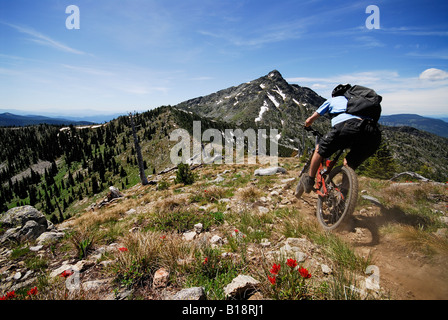 Man bikes the Seven Summits trail, Rossland, British Columbia, Canada. Stock Photo