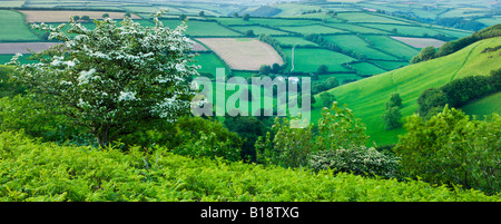 Winsford Hill and The Punchbowl Exmoor National Park Somerset England Stock Photo