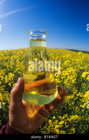 Man holding finished biodeiesel made from canola, conola field  beyond, Niverville, Manitoba, Canada. Stock Photo