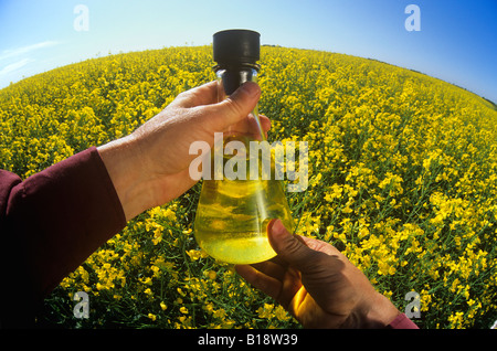 Man holding finished biodeiesel made from canola, conola field  beyond, Niverville, Manitoba, Canada. Stock Photo