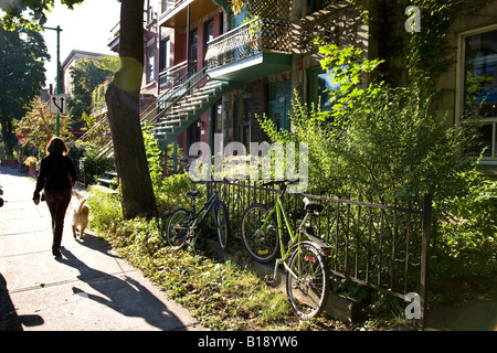 Typical 'brownstone' house in Fairmont district, Montreal, Canada. Stock Photo