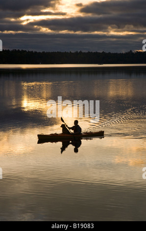 Young man kayaking with dog on Gull Lake near Gravenhurst, Ontario, Canada. Stock Photo