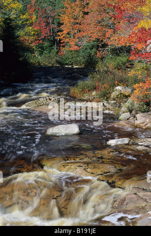 Brook in Fall along the Cabot Trail, Nova Scotia, Canada. Stock Photo