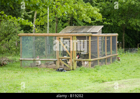 Chicken run or coup Hampshire England. Stock Photo