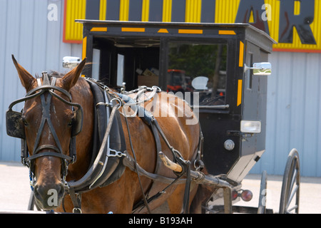 ILLINOIS Arthur Amish horse and buggy tied to hitching post outside Dollar General store Stock Photo