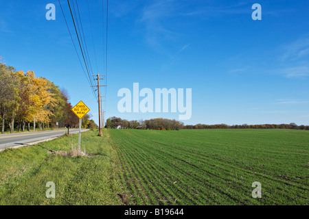 WISCONSIN Near Kenosha Winter wheat seedlings in row in field recently sprouted rural road school bus stop ahead sign Stock Photo