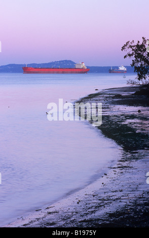 Two freighters at dusk along Cherry Point Beach, Vancouver Island, British Columbia, Canada. Stock Photo