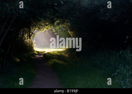 Public footpath through a tunnel of trees with rays of sunlight at the end. Adderbury, Oxfordshire UK Stock Photo