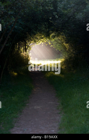 Public footpath through a tunnel of trees with rays of sunlight at the end. Adderbury, Oxfordshire UK Stock Photo