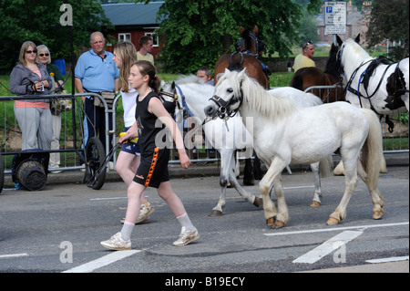Two gypsy traveller girls leading ponies. Appleby Horse Fair. Appleby-in-Westmorland, Cumbria, England, United Kingdom, Europe. Stock Photo