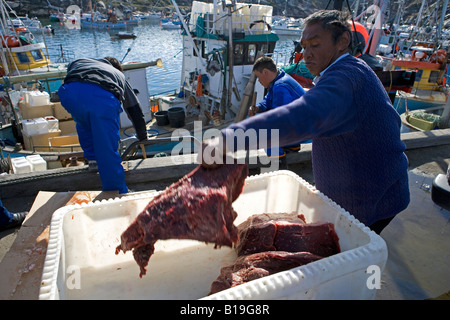 Fishing hi-res stock photography and images - Alamy