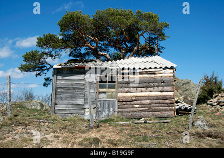 Old shelter in wood isolated in the countryside. Stock Photo