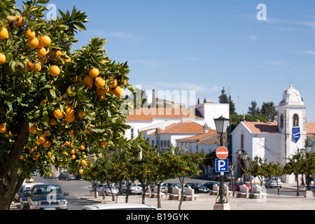 Portugal, Alentejo, Vila Vicosa. It is spring in the small town of Vila Vicosa in the Alentejo region of Portugal. Stock Photo