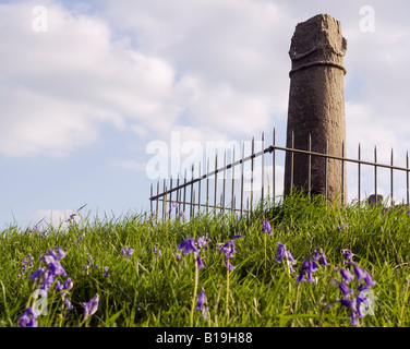 Wales, Denbighshire, Llangollen. Elisegs Pillar - part of a 9th Century inscribed stone erected by Cyngen, prince of Powys. Stock Photo