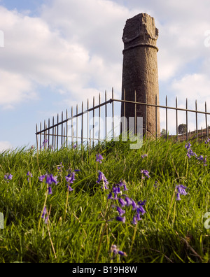 Wales, Denbighshire, Llangollen. Elisegs Pillar - part of a 9th Century inscribed stone erected by Cyngen, prince of Powys. Stock Photo