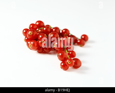 Red currants Stock Photo