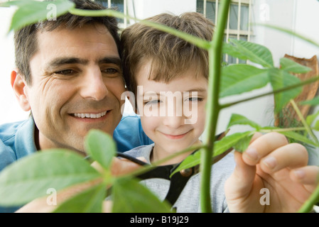 Father and son pruning plant together, smiling Stock Photo